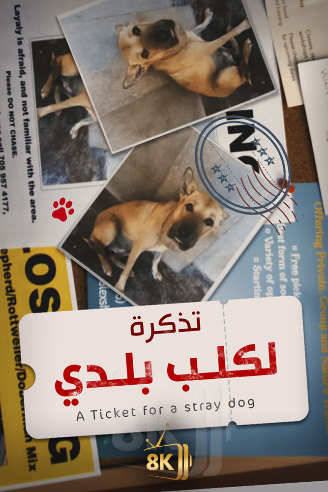 ِAJ - ‏تذكرة لكلب بلدي